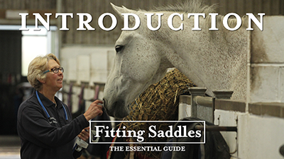 Essential Saddle Fitting by Kay Hastilow