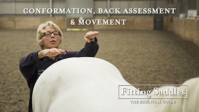 Conformation, Back Assessment & Movement